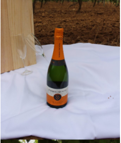 Torres Prunera Brut Nature Reserva