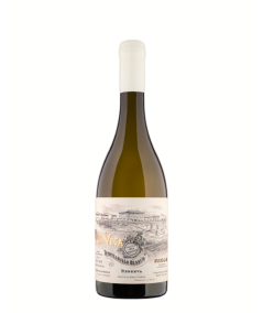 Tempranillo Blanco Reserva